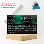 TEREA BLACK MENTHOL HEETS