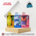 Elfbar TE6000 Puffs Disposable