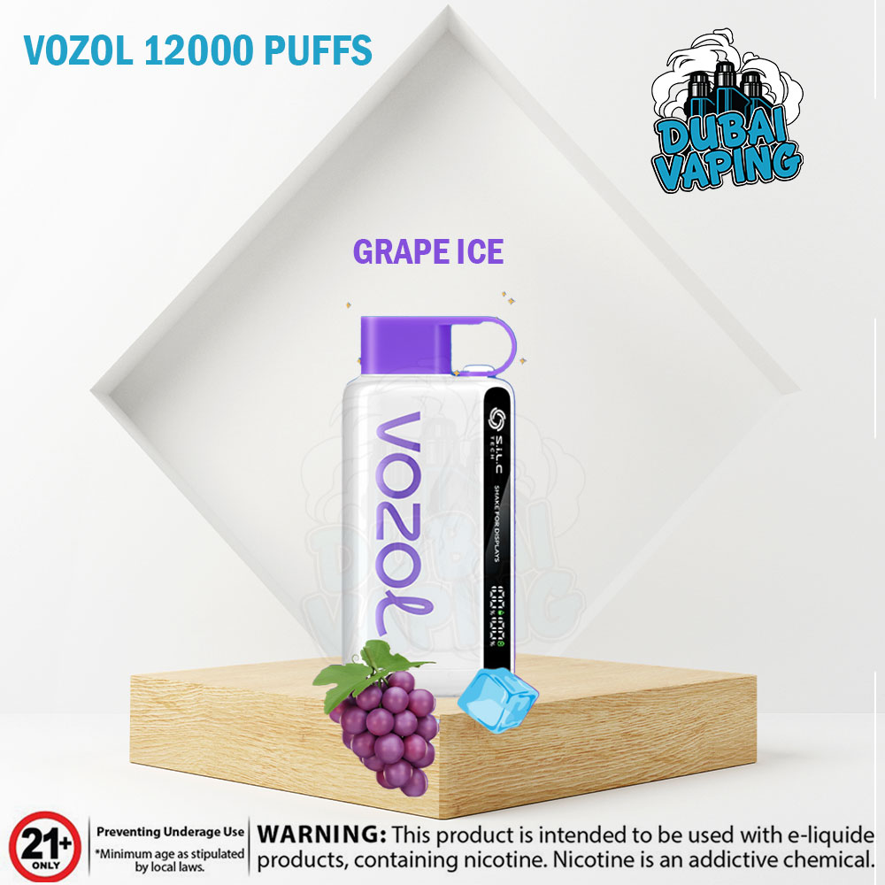 VOZOL STAR 12000 Puffs Disposable Vape
