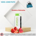 VOZOL STAR 12000 Puffs Disposable Vape
