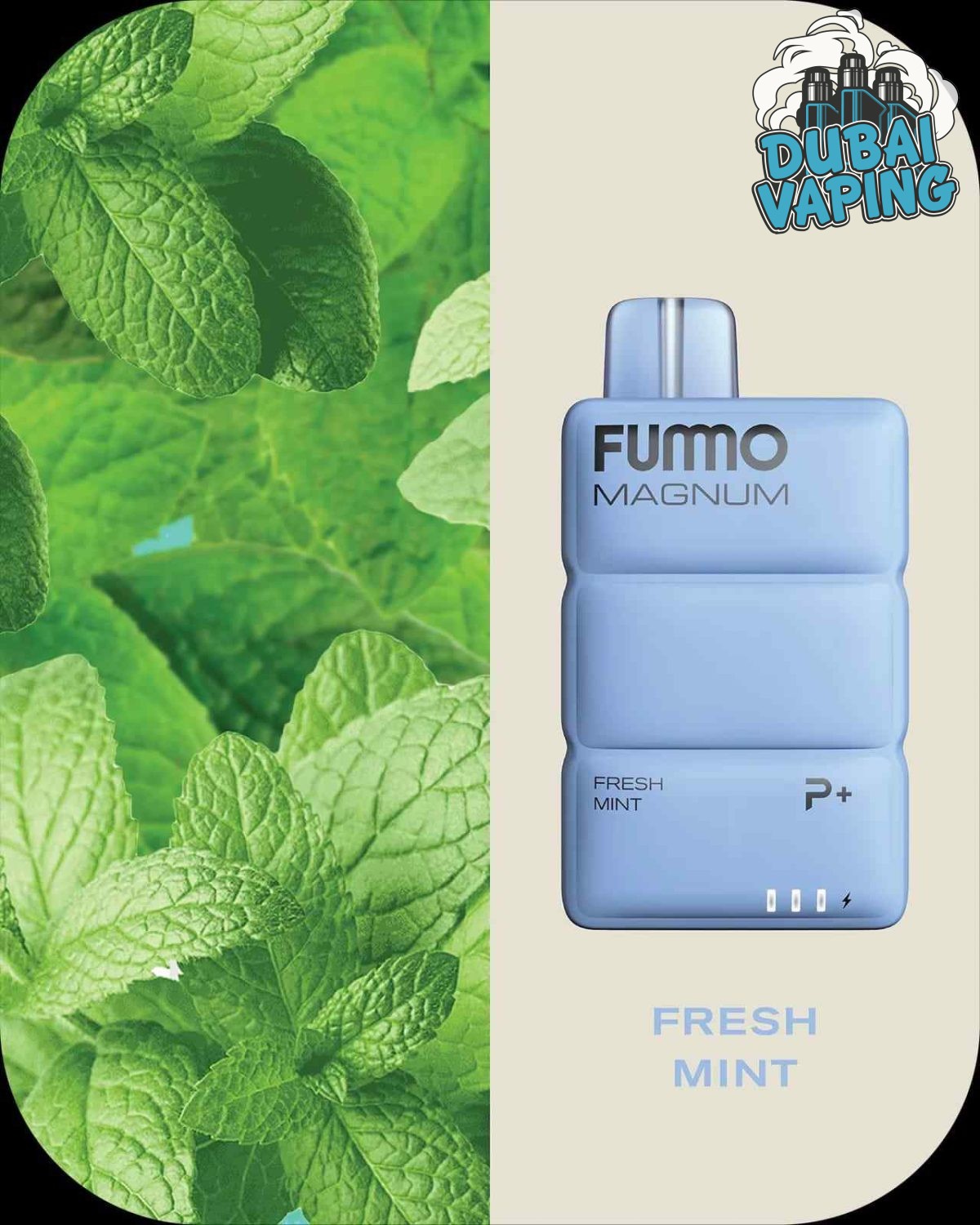 FUMMO MAGNUM 8000 Puffs Price in Dubai FRESH MINT