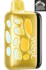 Vozol Rave 40000 Puffs Disposable Vape In Dubai
